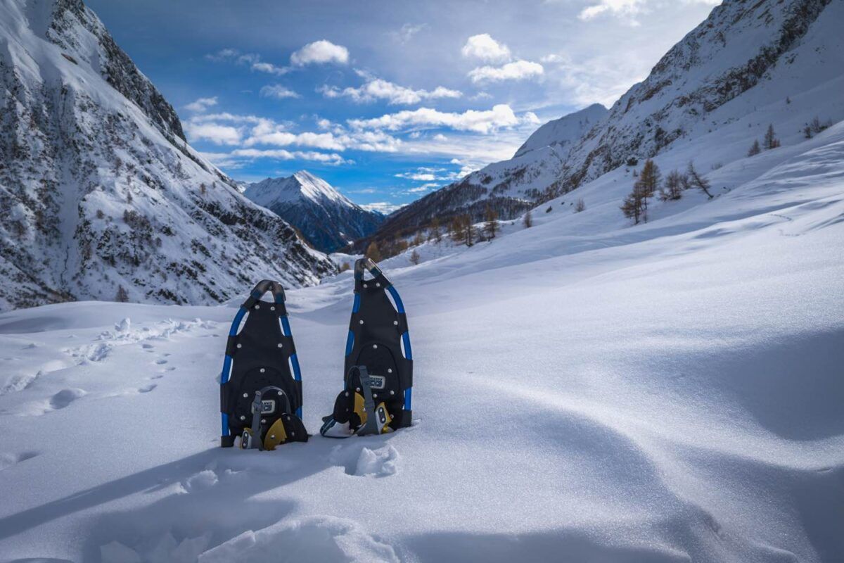 Raquetas de nieve